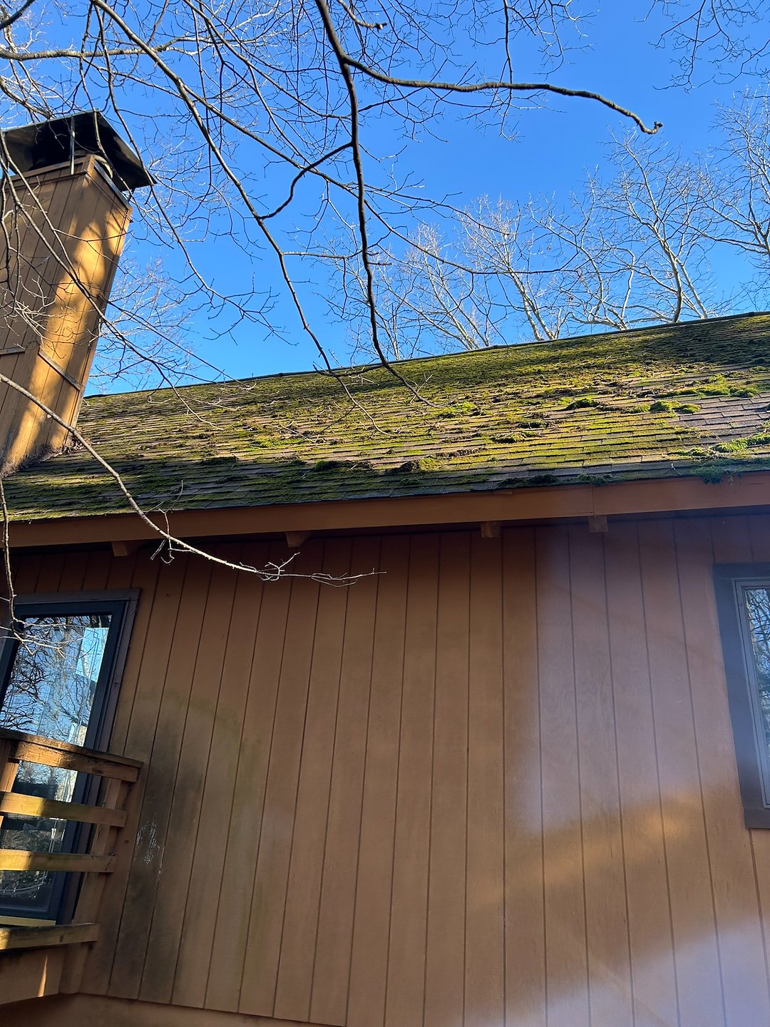 Professional Moss Removal and Roof Cleaning in Wintergreen, VA