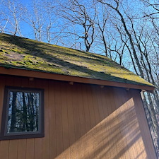 Professional-Moss-Removal-and-Roof-Cleaning-in-Wintergreen-VA 3