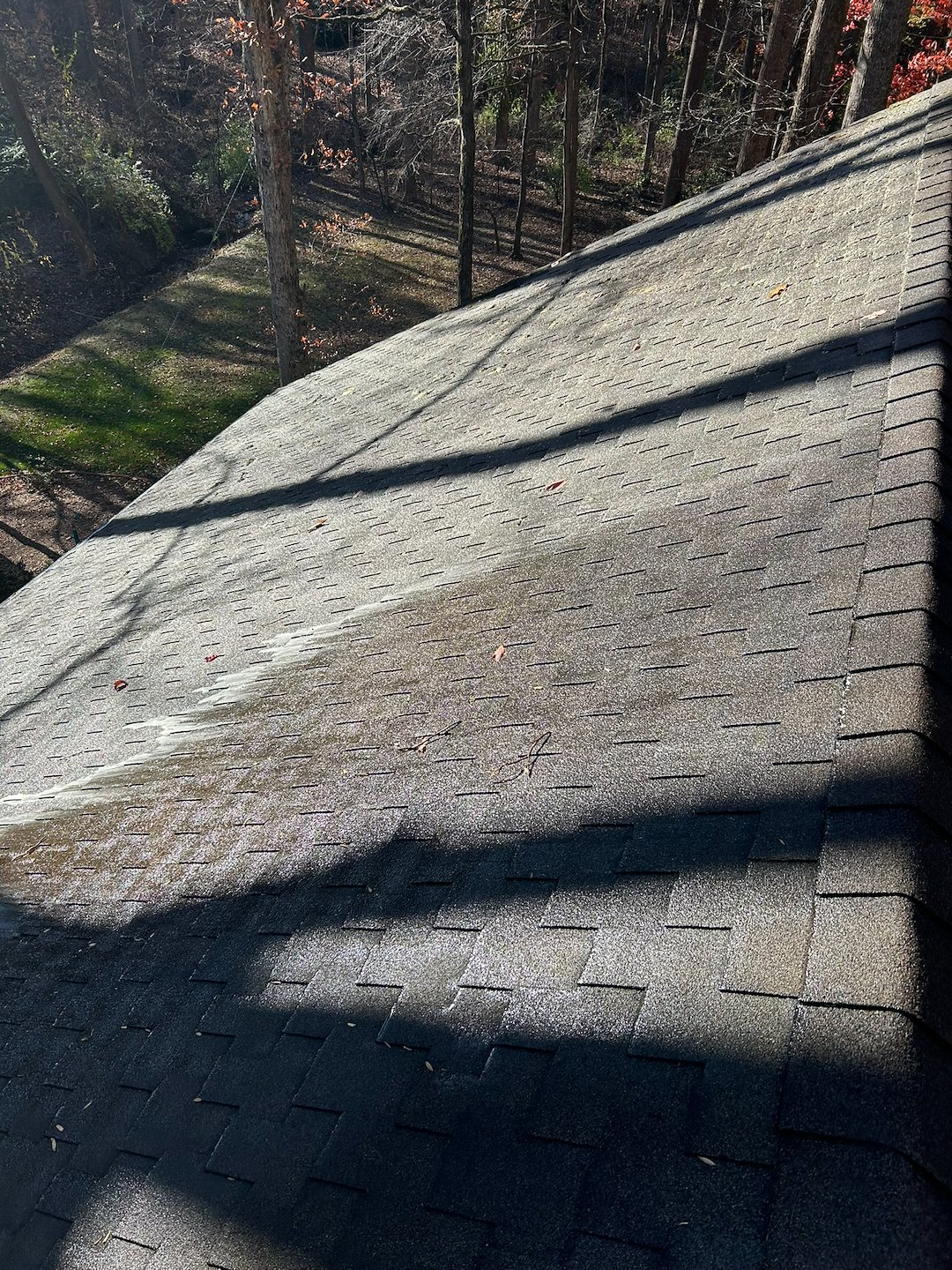 Roof Soft Washing Service in Charlottesville, VA